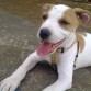 2 meses i medio